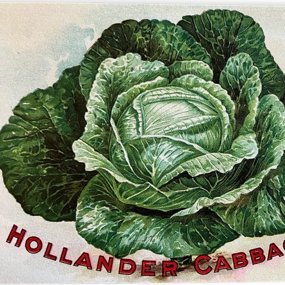 Cavallini & Co. Victory Garden Collection Seed Packet Postcard Set of 3 - NWT - Picture 3 of 9